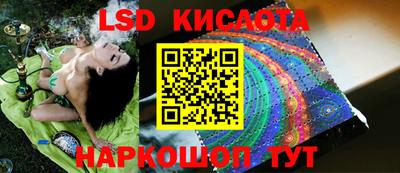 молекула духа Ливны