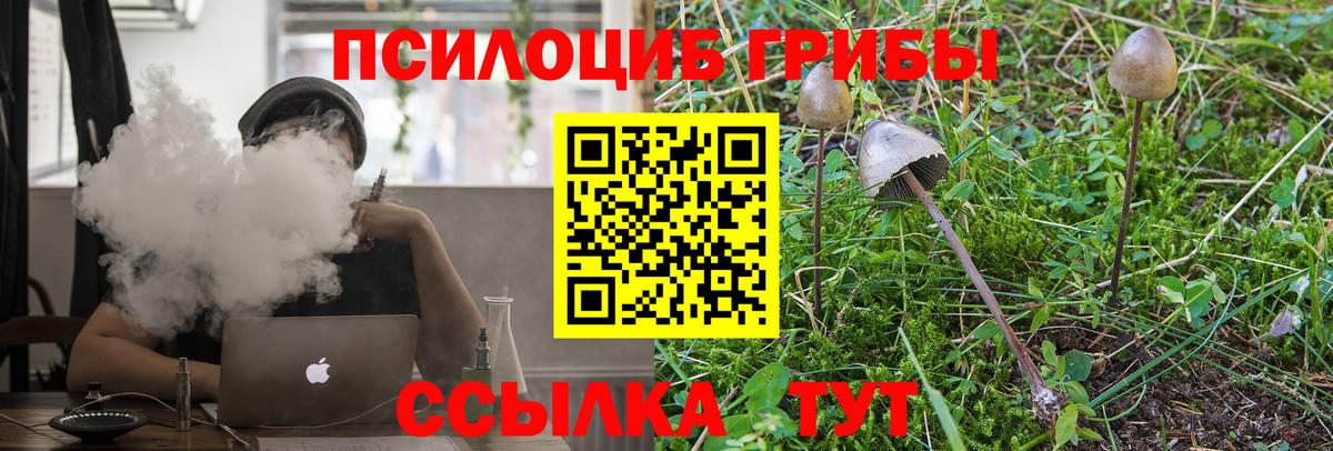 Псилоцибиновые грибы мухоморы Жигулёвск